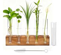 Zyiphor Plante Propagation Station Verre Tube à Essai Vase, Plantes Hydroponiques Tube Vase avec Support et Brosse pour Propagation Plantes Hydroponiques, Décoration Domicile (5)