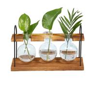 Zyiphor Plante Propagation Station Verre Tube à Essai Vase, Plantes Hydroponiques Tube Vase avec Support et Brosse pour Propagation Plantes Hydroponiques, Décoration Domicile (3)