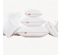 ZZDZW Très Grand Coussins De Garnissage Bedding Coussin À Recouvrir Rembourrage pour Oreiller en Coton PP, Rectangulaire Carré Décoration pour Oreillers Intérieur Salon De Canapé(60x90cm 1pc)