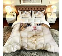 ZZXHG Couette 3D Imprimé Grand Lit Doux et Respirant, Chat en 3D, Couette 200x200 cm avec 2 Taies d'oreiller 65x65 cm, Literie Chaude et Confy, pour Couple et Maître Suite_A21238