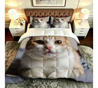 ZZXHG Couette 3D Imprimé Grand Lit Doux et Respirant, Chat en 3D, Couette 200x200 cm avec 2 Taies d'oreiller 65x65 cm, Literie Chaude et Confy, pour Couple et Maître Suite_A21394