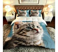 ZZXHG Couette 3D Imprimée | Chat en 3D, Confort & Style, Lavable en Machine | Adaptée pour Grand Lits, Ambiance Chic, 220x240 cm + 2 Taies_A21245